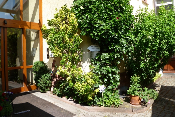Hotel Zum Specht
